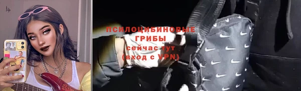 соль ск Алзамай