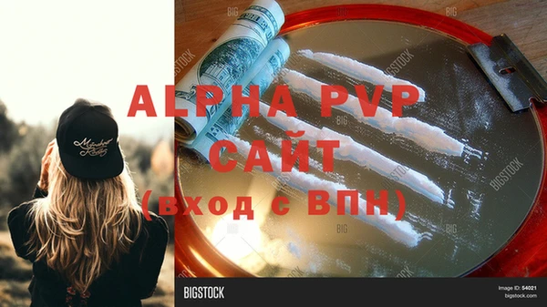 стафф Приозерск