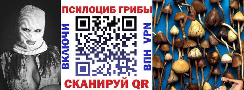 Псилоцибиновые грибы мухоморы  как найти наркотики  Бологое 
